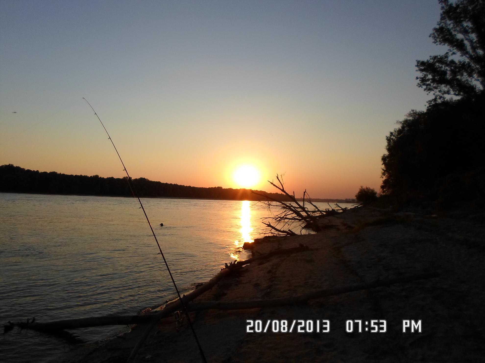 pescuit pe dunare - sam00591.JPG